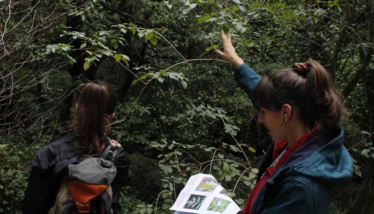 Actividades empresa Pegadas Culturais Naron
