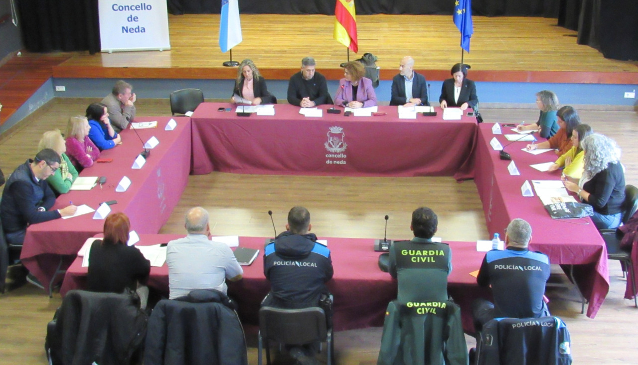 Mesa coordinacion interinstitucional contra la violencia de genero Neda7