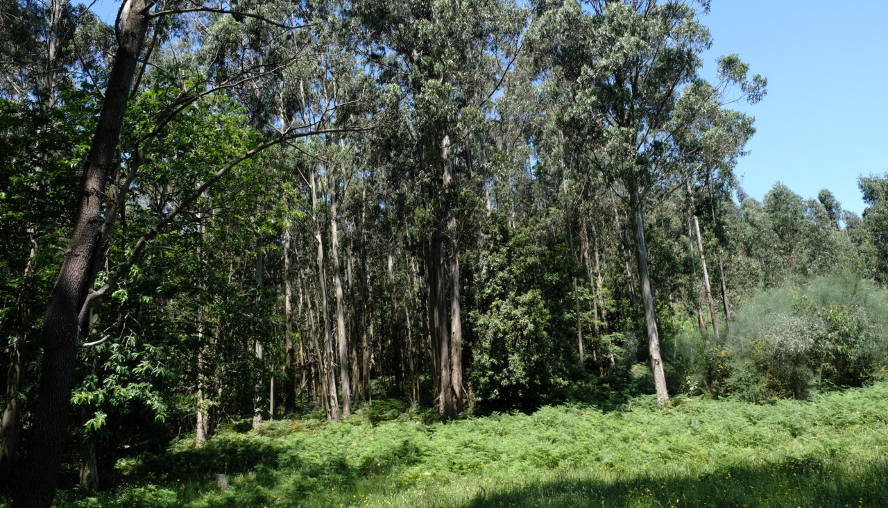 DSCF5784 18545194