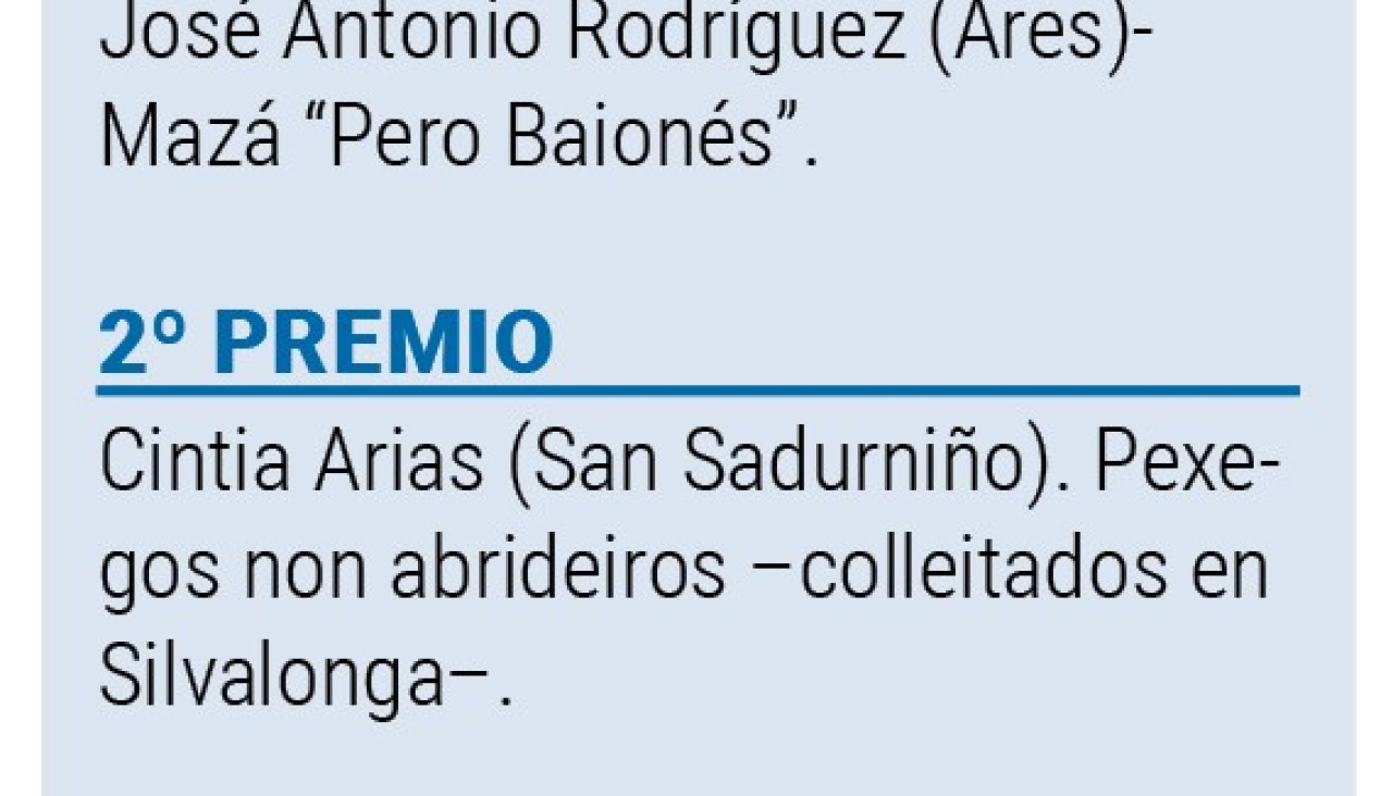 Ganadores concurso froita Feira Rural San Sadurniño