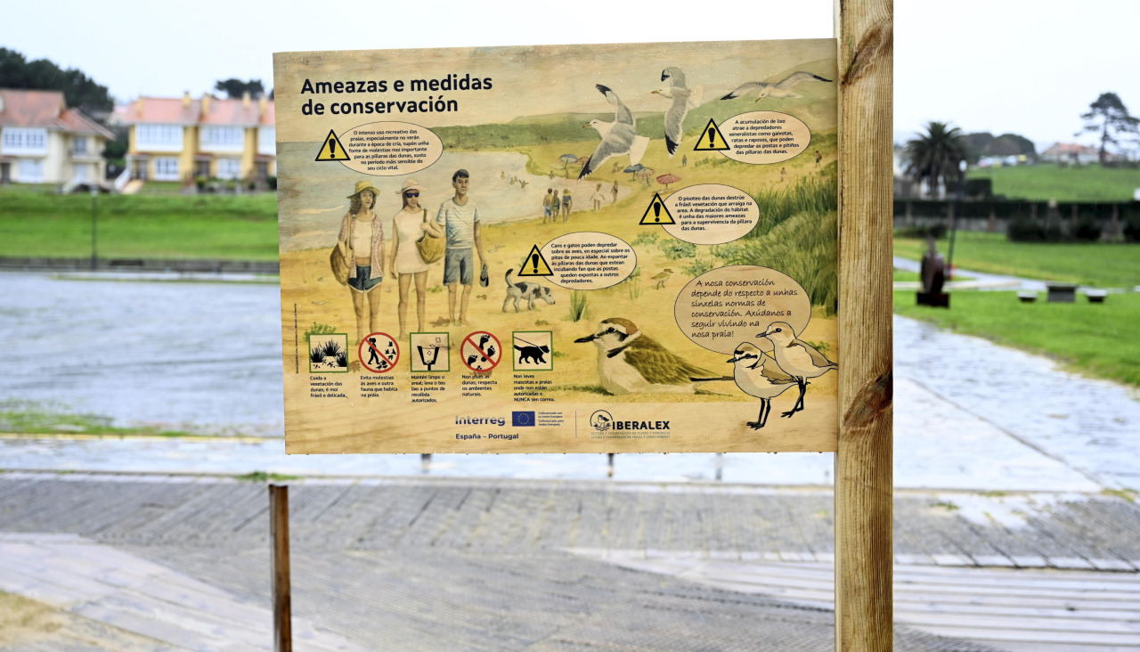 Píllaras emilio cortizas3