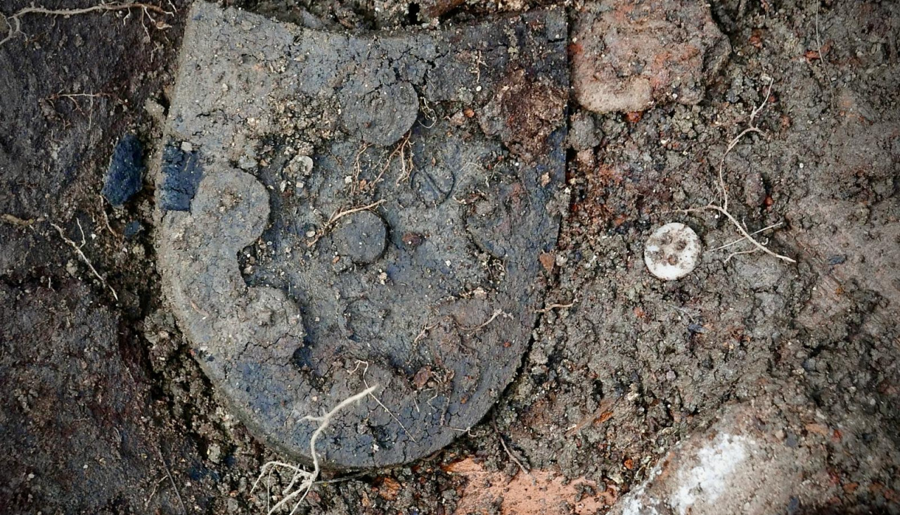 Casquillo suela de zapato boton fosa comun O Val Fotos Jorge Meis5