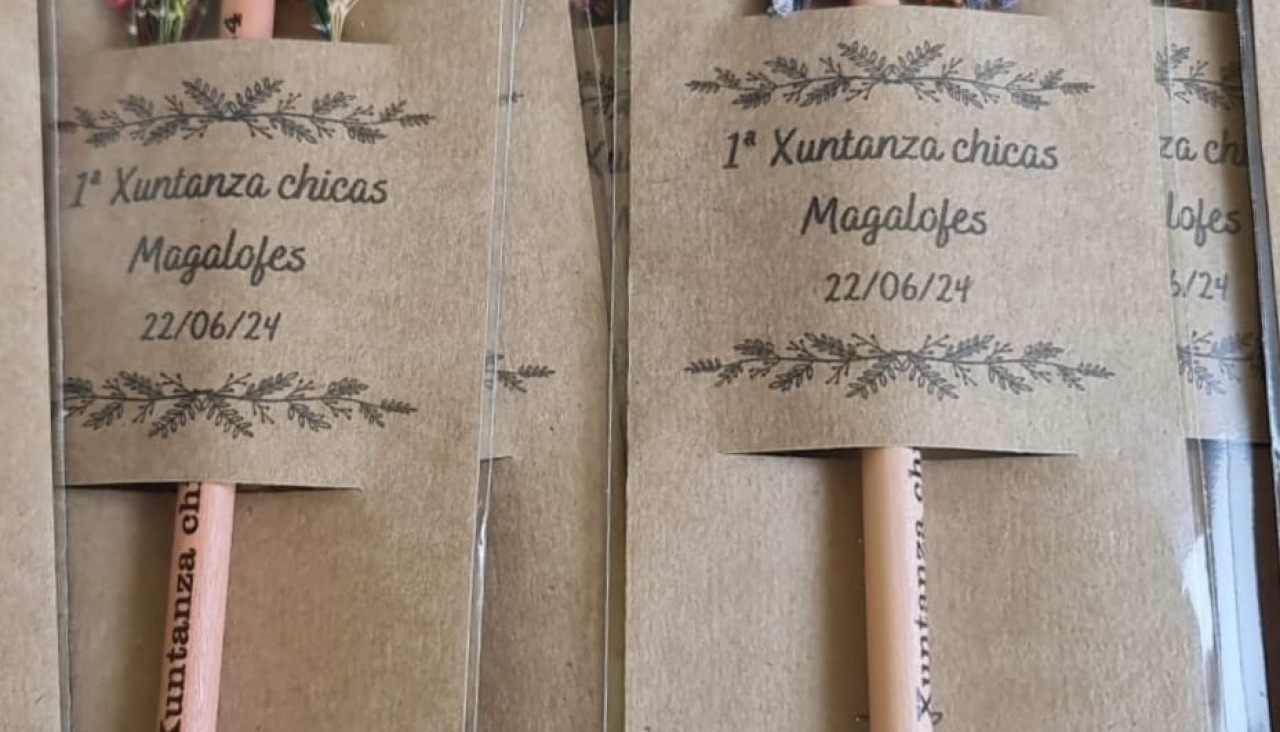 Xuntanza mulleres Magalofes (2)