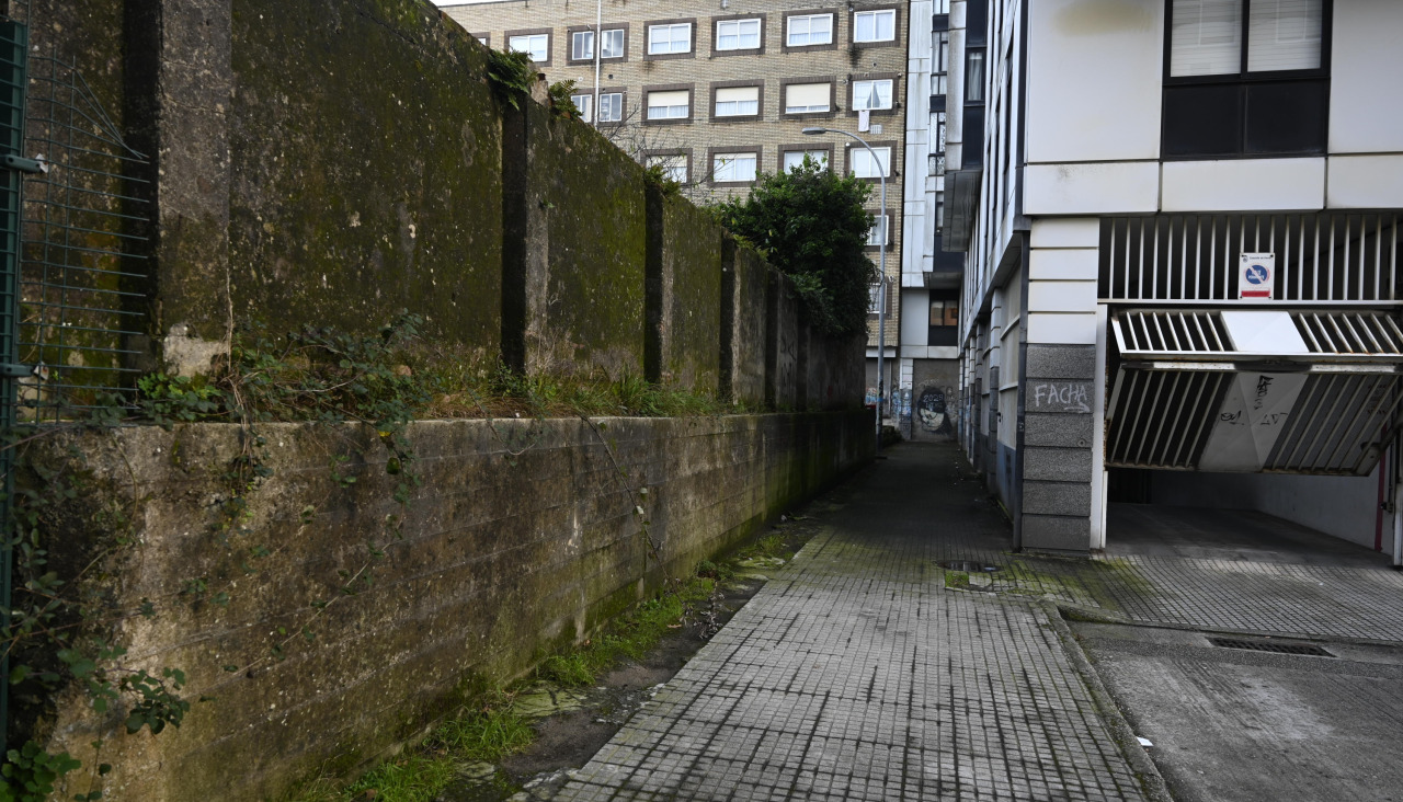  DSC9690 18540839