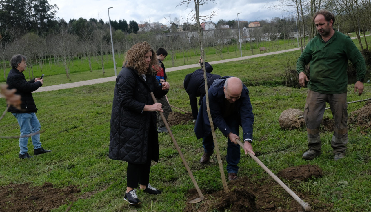 Plantacion arboles parque Freixeiro Naron 2