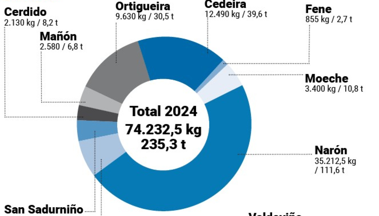 Grafico insertega
