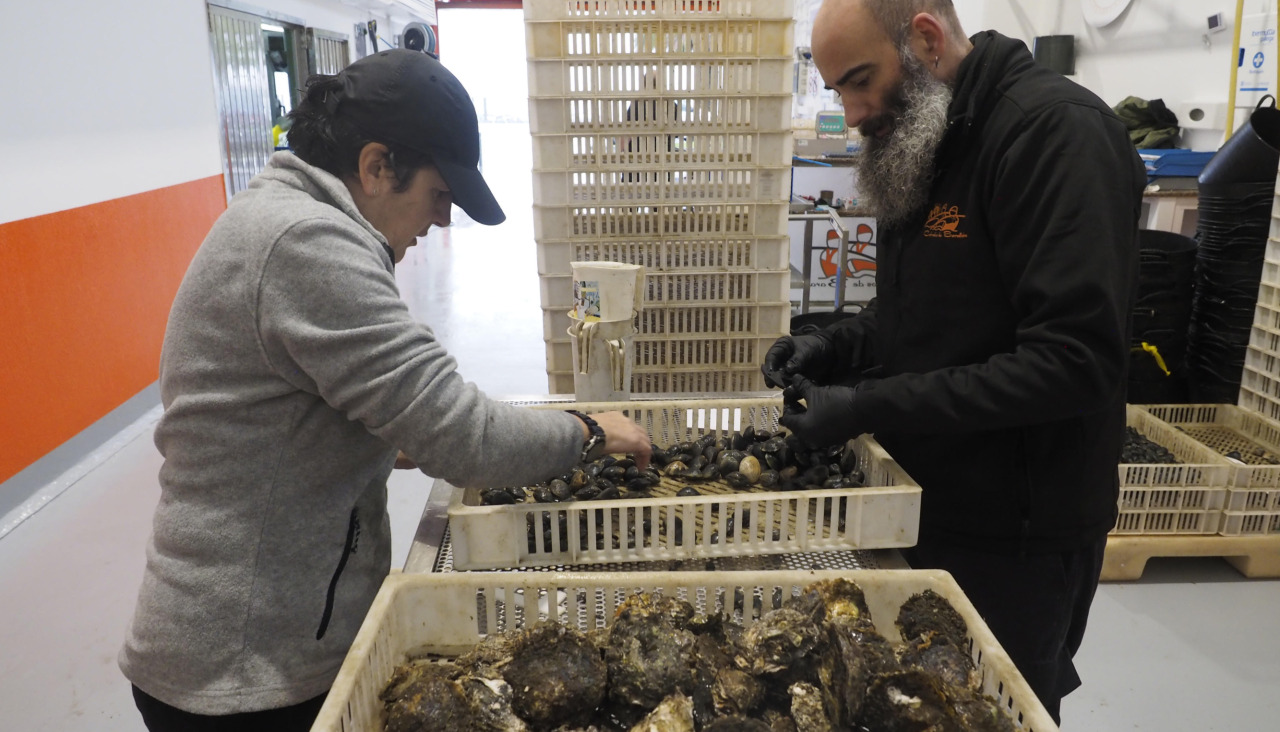 Cofradia Barallobre mariscadores a pie Jorge Meis