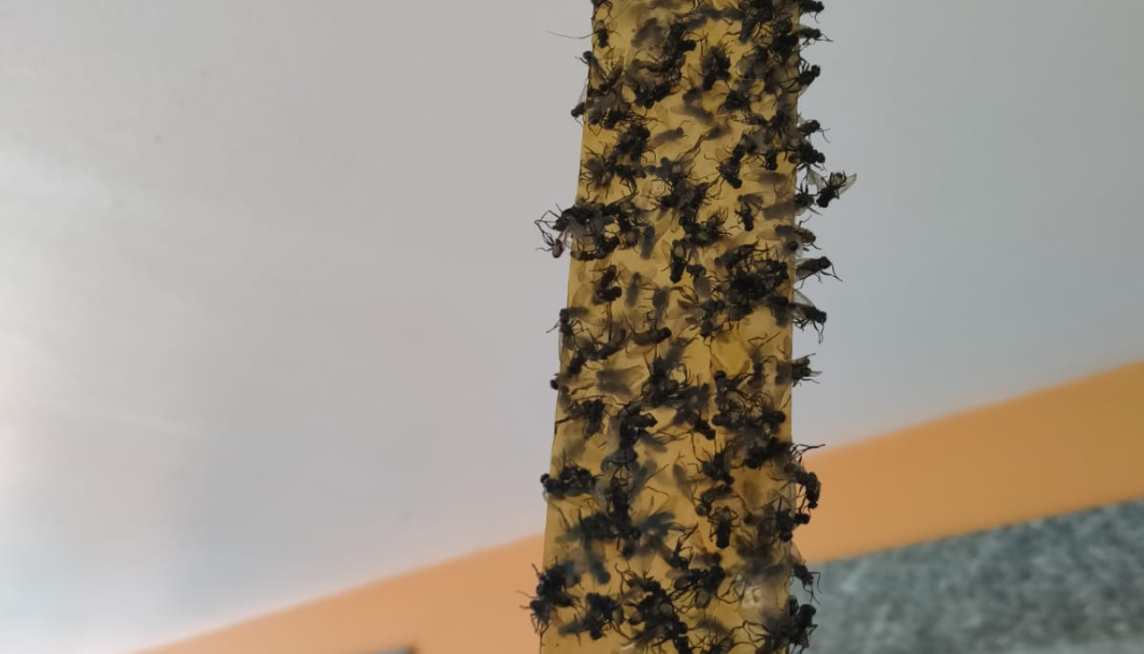 Imagen de WhatsApp 2025 06 03 a las 15.07.34 7681e6a2