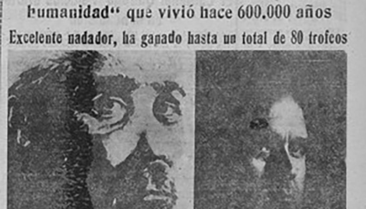 Captura 2 19433138
