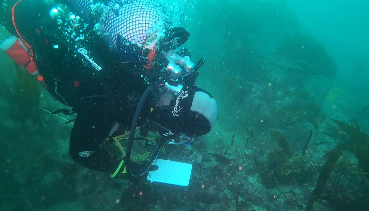 Prospección arqueológica subacuática en Punta do Segaño (Ares), en 2022