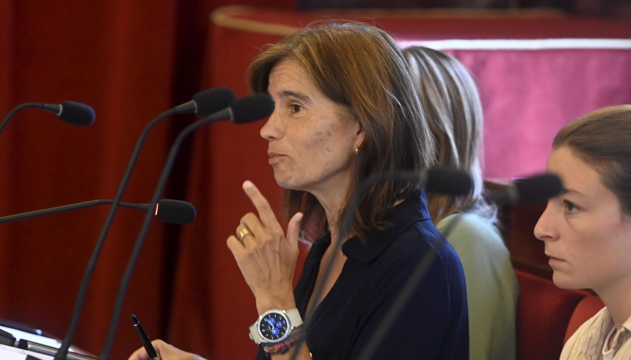 La concejala de Hacienda, en el pleno de agosto
