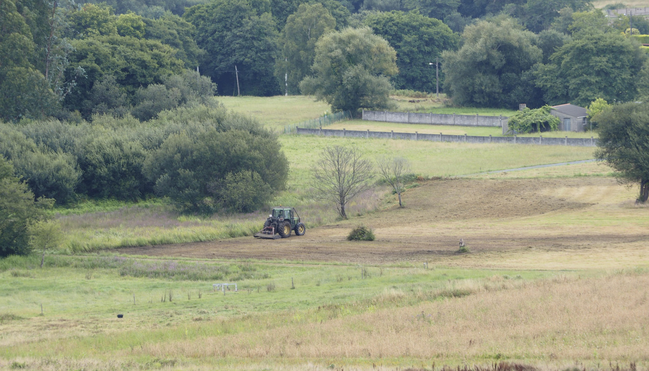 Terrenos agrícolas Jorge Meis