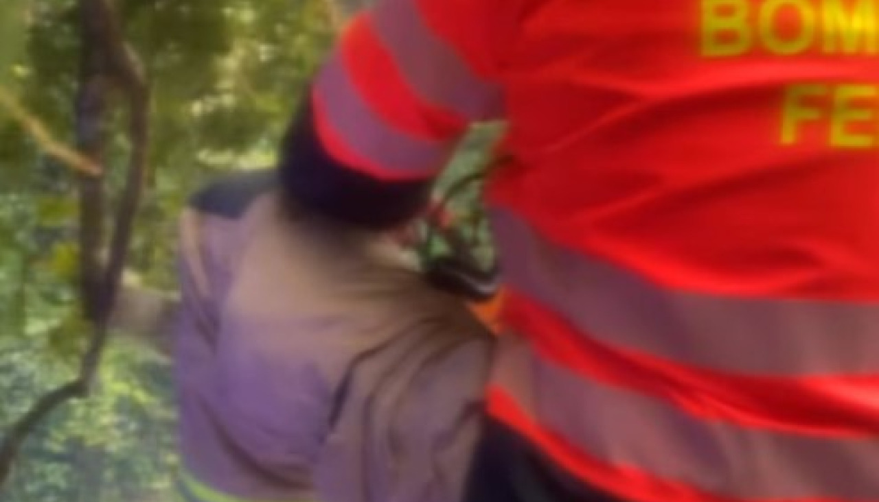 Un efectivo tuvo que cortar las ramas con una motosierra