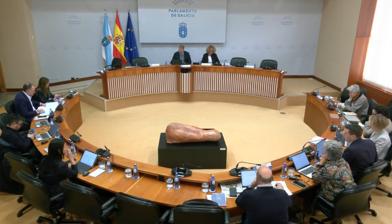 Un instante de la comisión celebrada este miércoles en el Parlamento gallego
