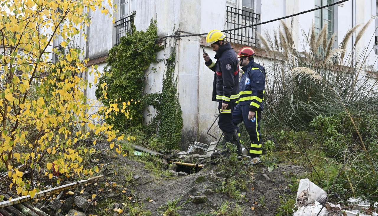 Perros de rescate CASAGA