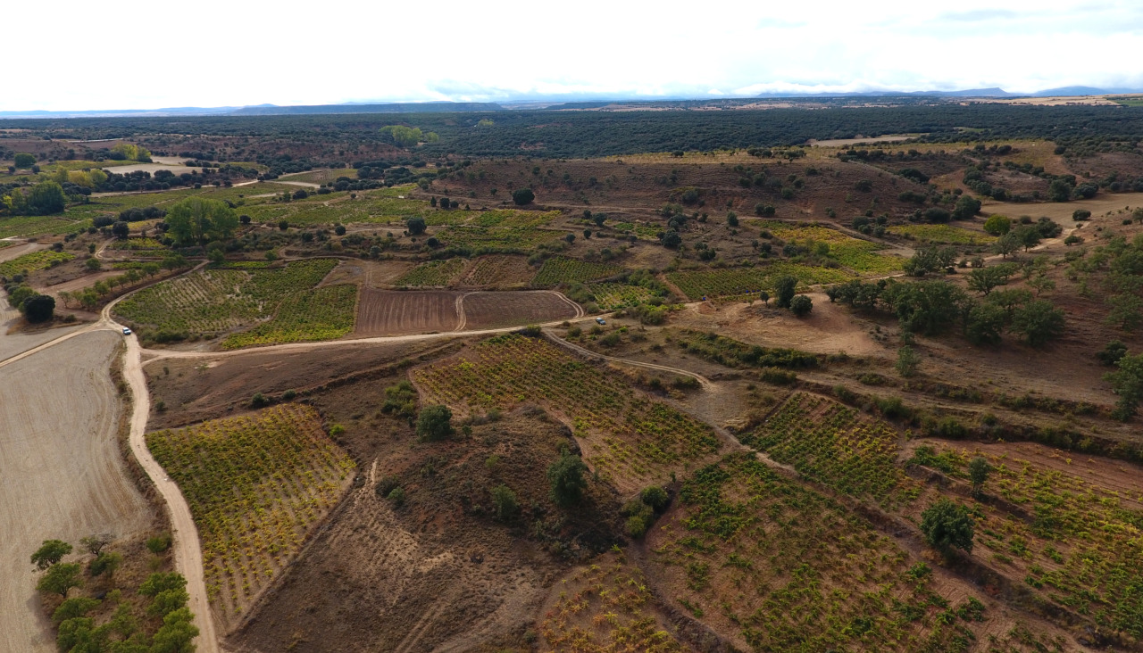 Vista panorámica del Valle de Atauta, en la vertiente soriana de la Ribera del Duero, donde se ubica la bodega de Dominio de Atauta