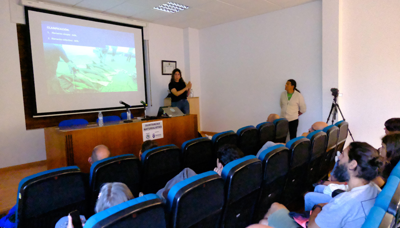 Imagen de archivo de una charla en el Museo de la SGHN