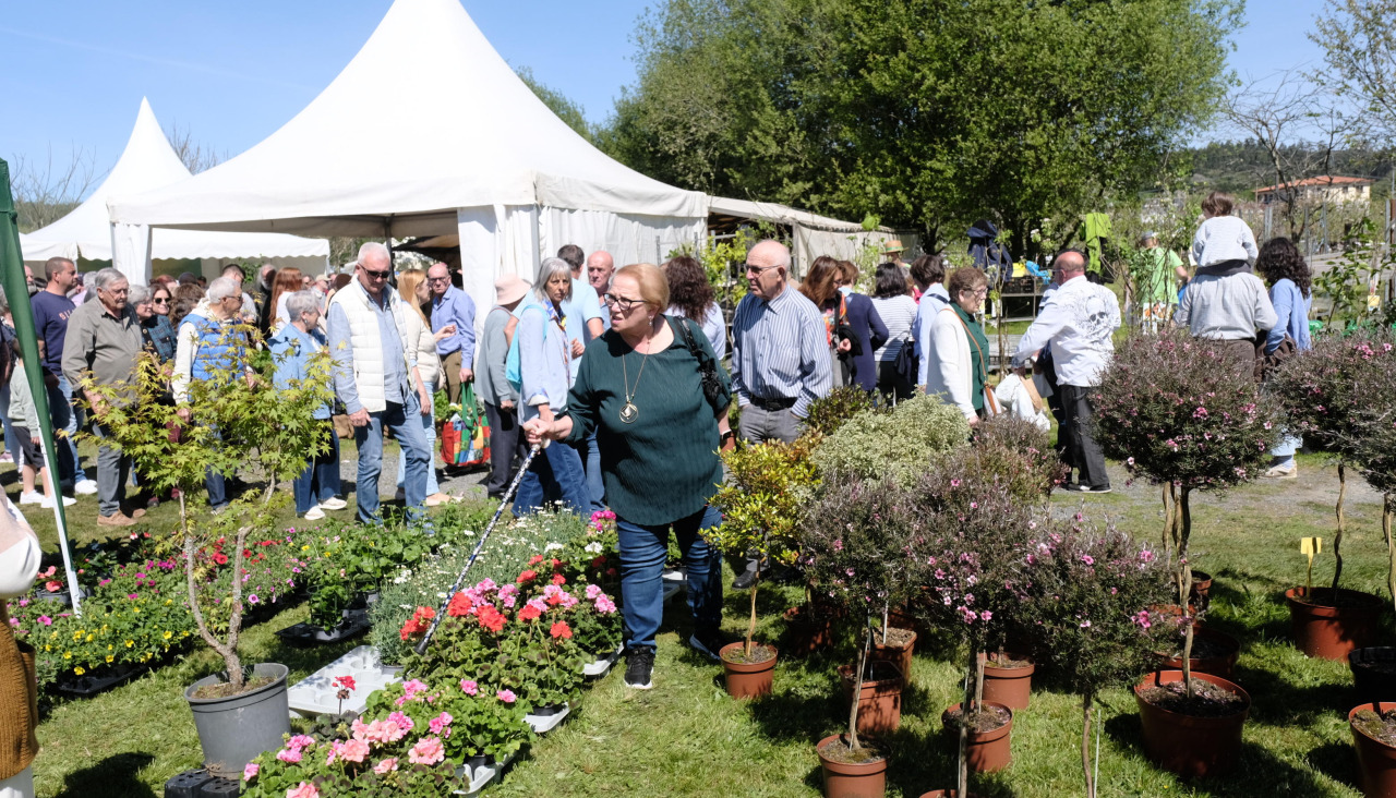 La Feira da Plantación sadurniñense contó con estos fondos en 2025