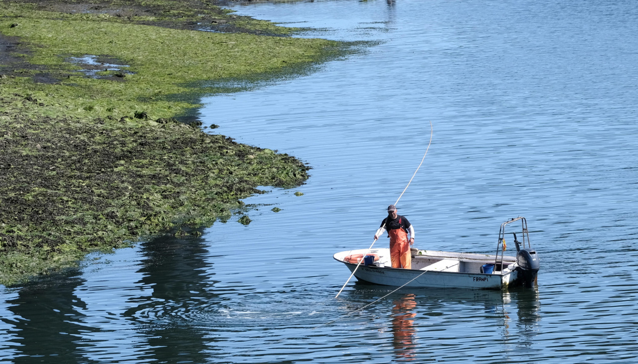Un mariscador, en la zona de la actuación, en verano de 2024