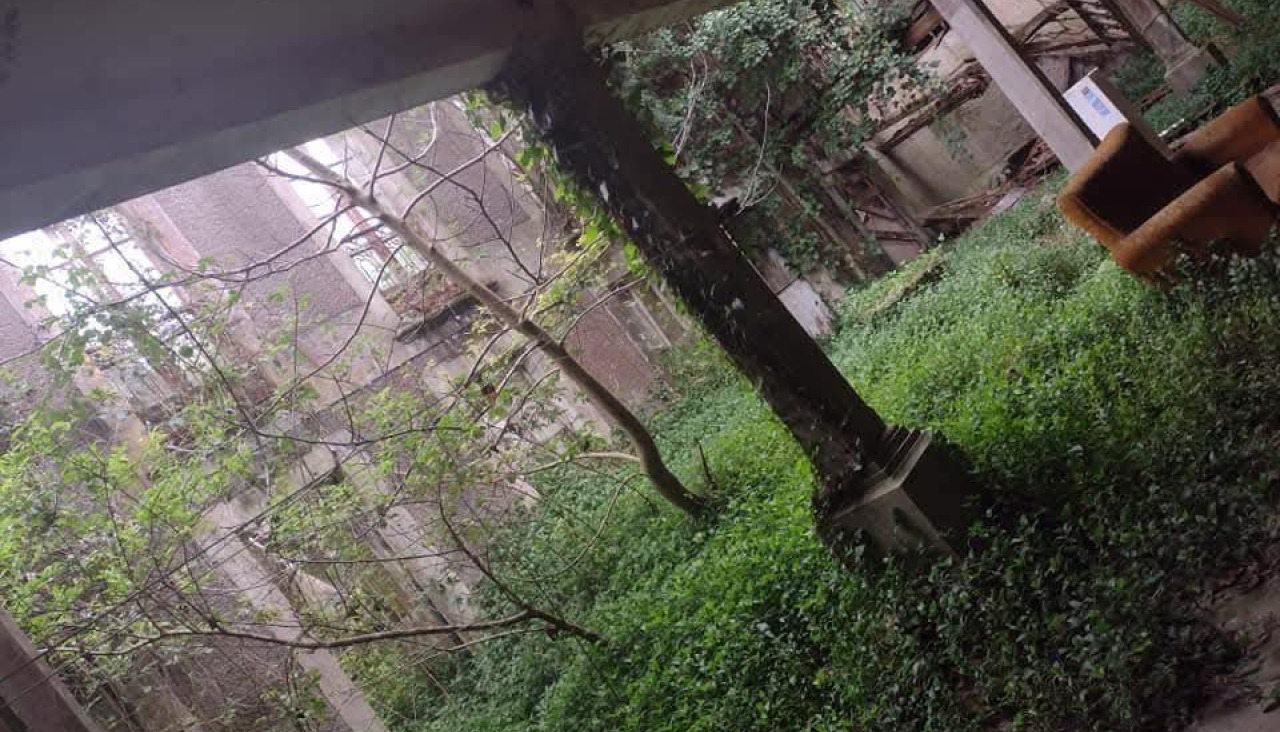 Estado actual de la Torre de Borrás