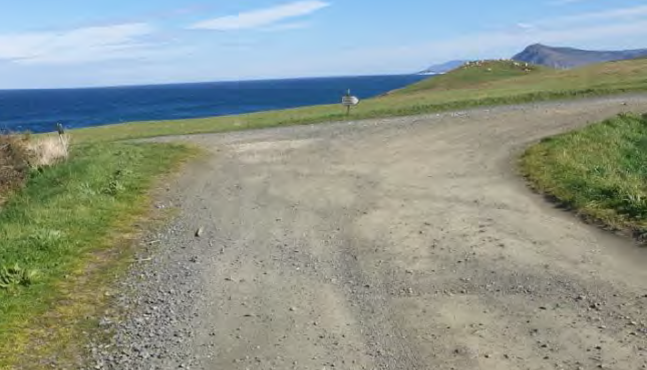 El firme del camino a día de hoy es de zahorra