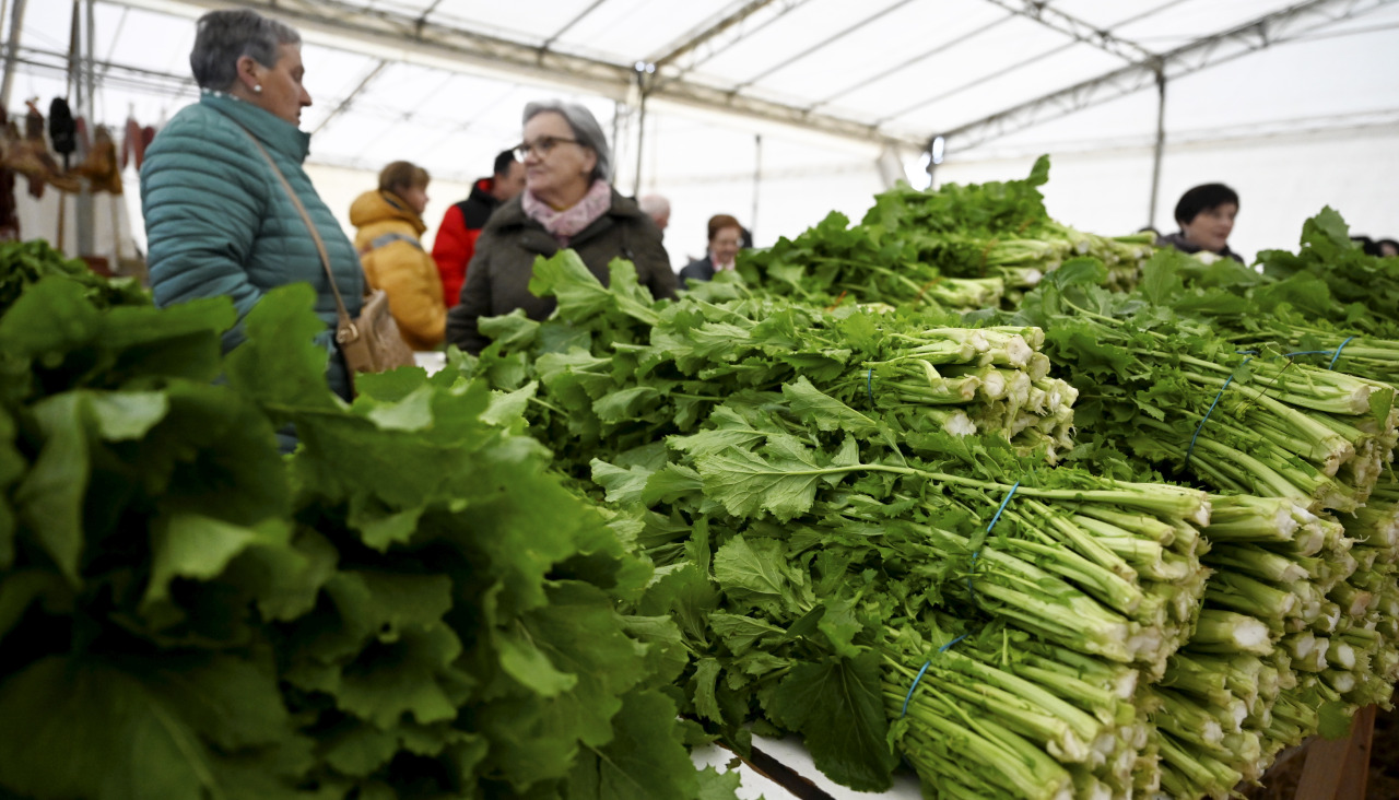 Feira do grelo de Xestoso
