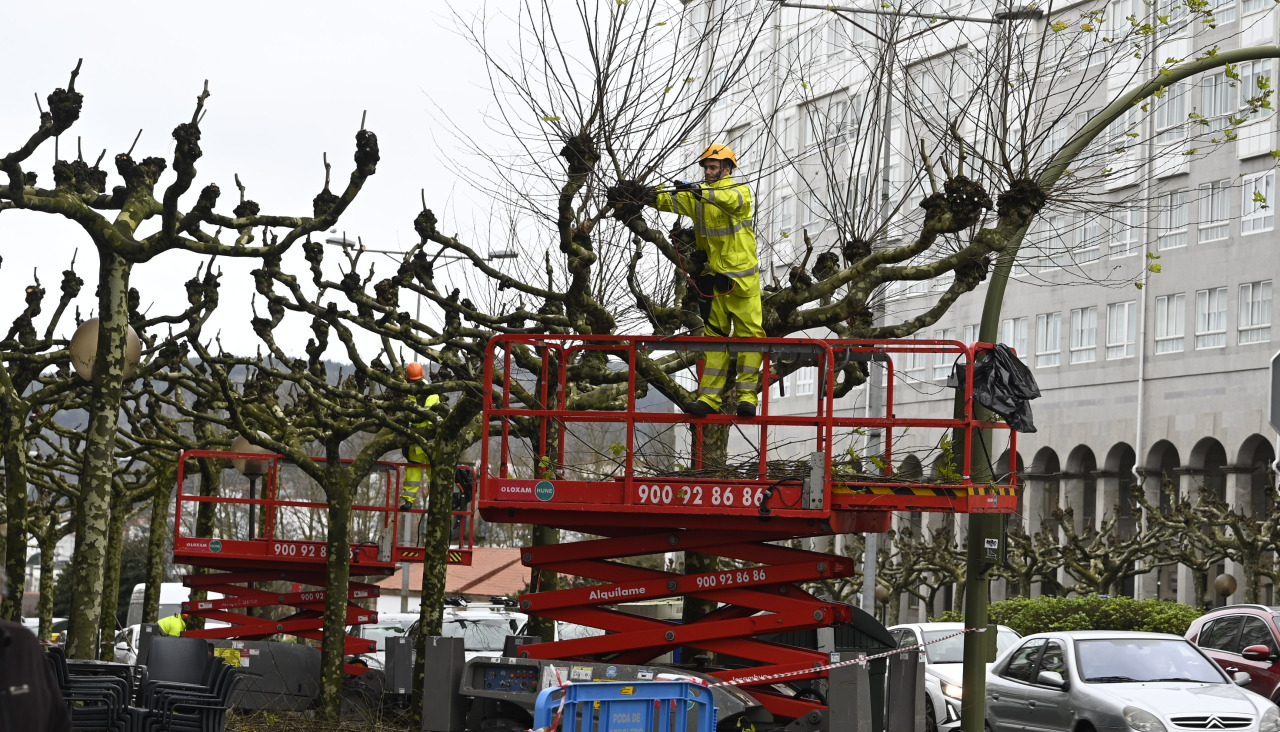 Trabajadores de Jardines