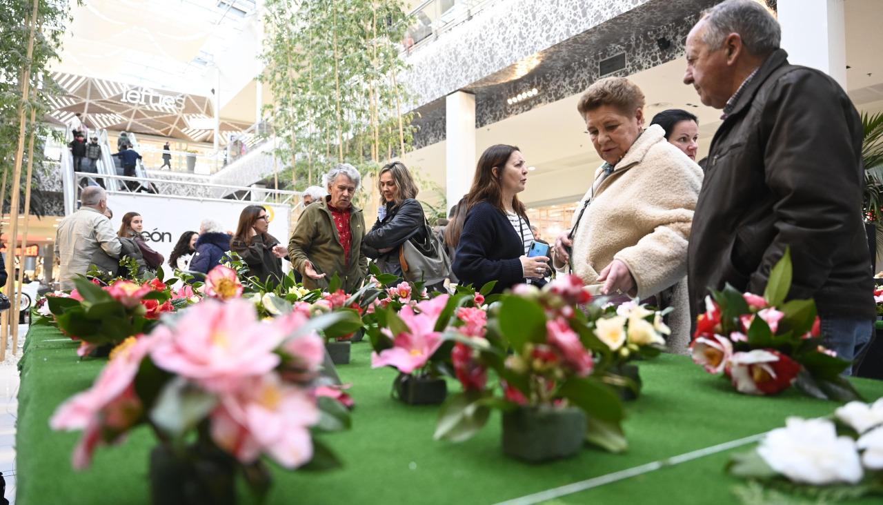 El evento congrega cada año a centenares de personas aficionadas
