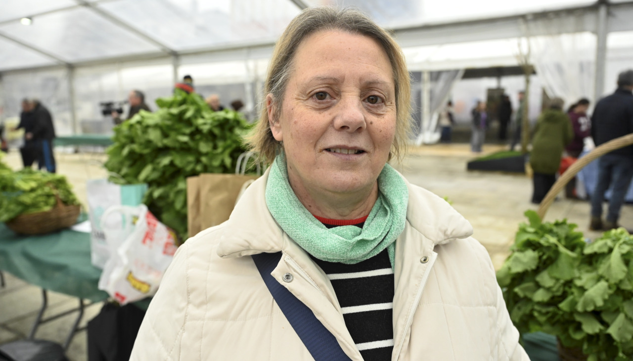 Feira do Grelo As Pontes