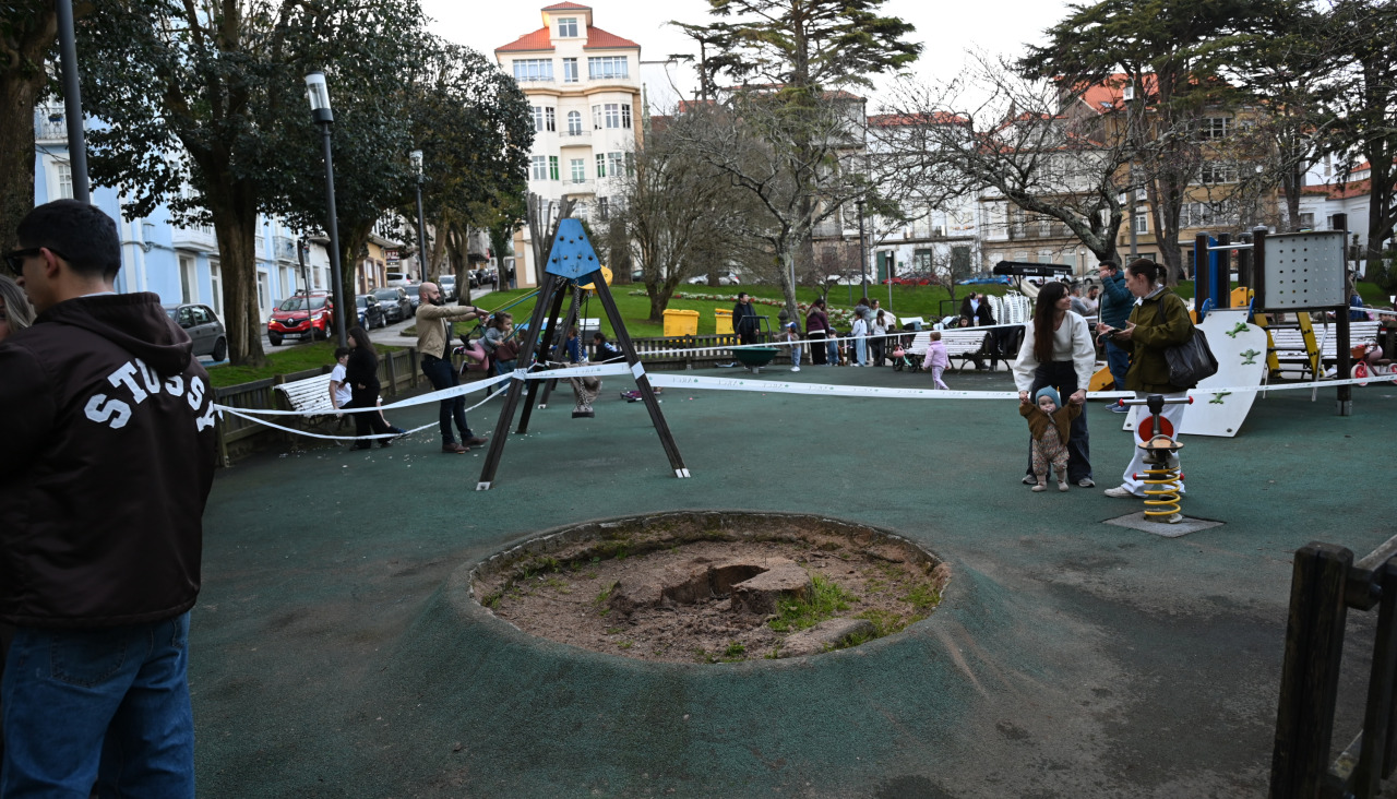 Amboage árbol cortado en el parque infantil