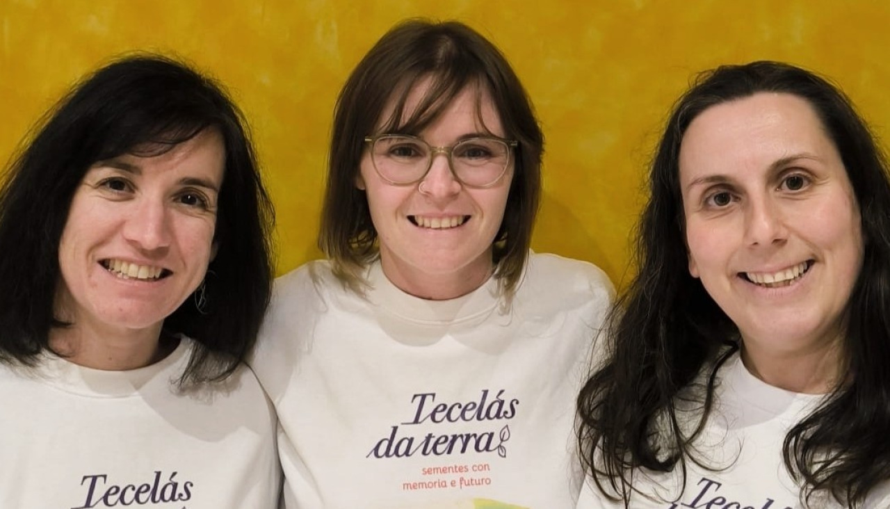 tecelas da terra