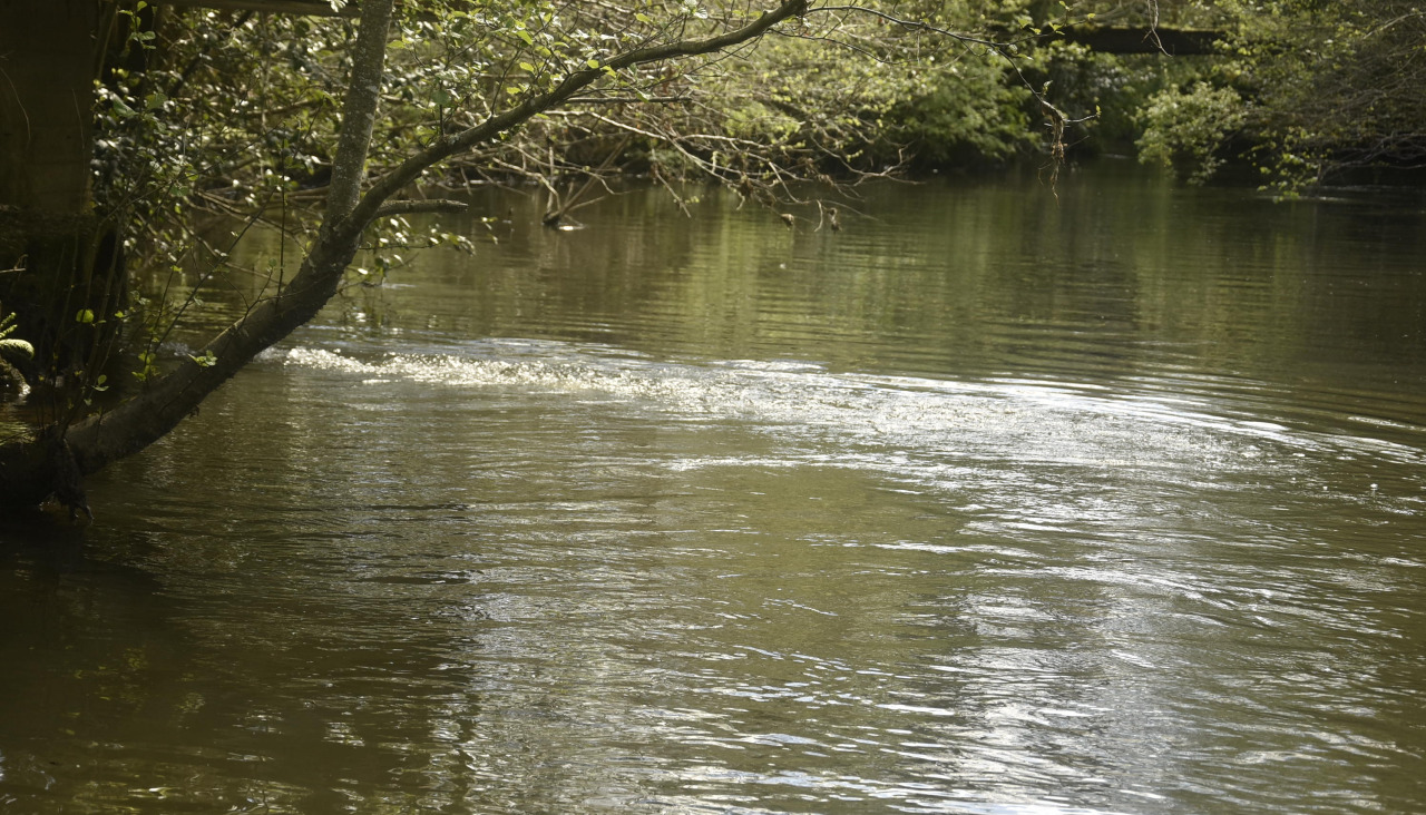 Río Xubia a su paso por San Sadurniño.