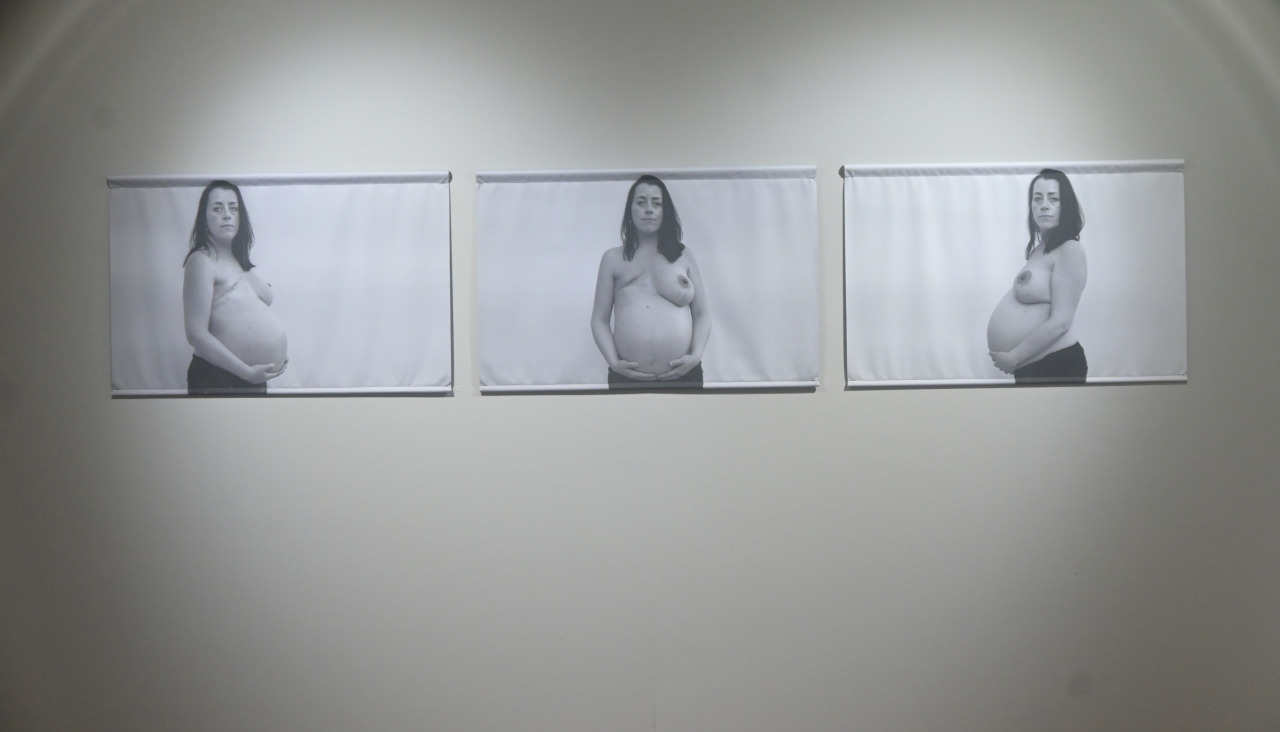 Inauguración Exposición Virando o Rosa, Centro Cultural Torrente Ballester