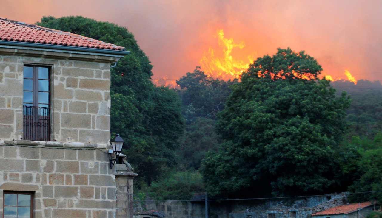 Incendio forestal declarado en la zona de Montefaro, en 2019