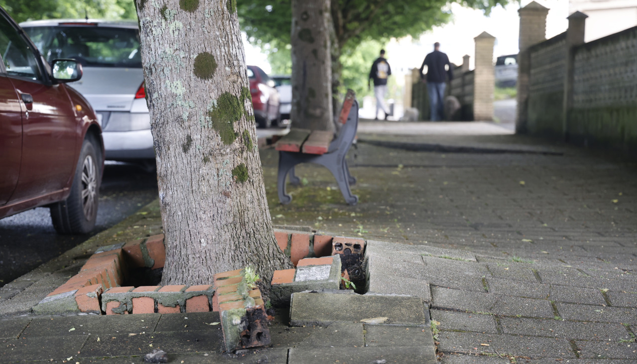 El proyecto en Pérez Parallé incluye también la pavimentación del vial