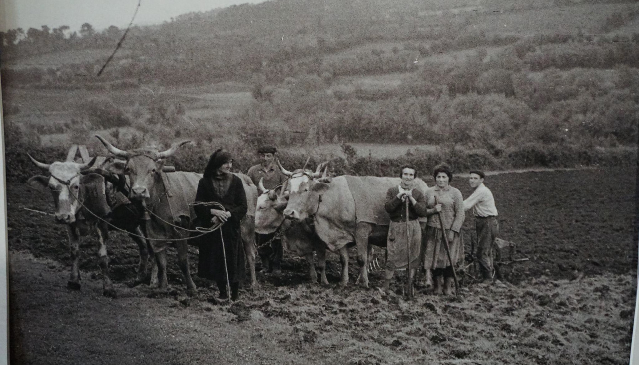 Archivo fotográfico de Jenaro Vázquez