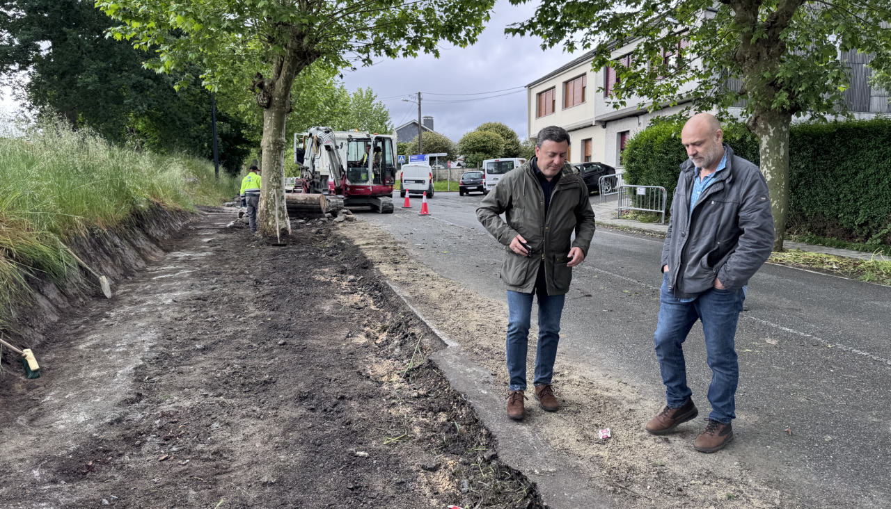 El proyecto supone la eliminación de las aceras existentes y la ejecución de una nueva pavimentación