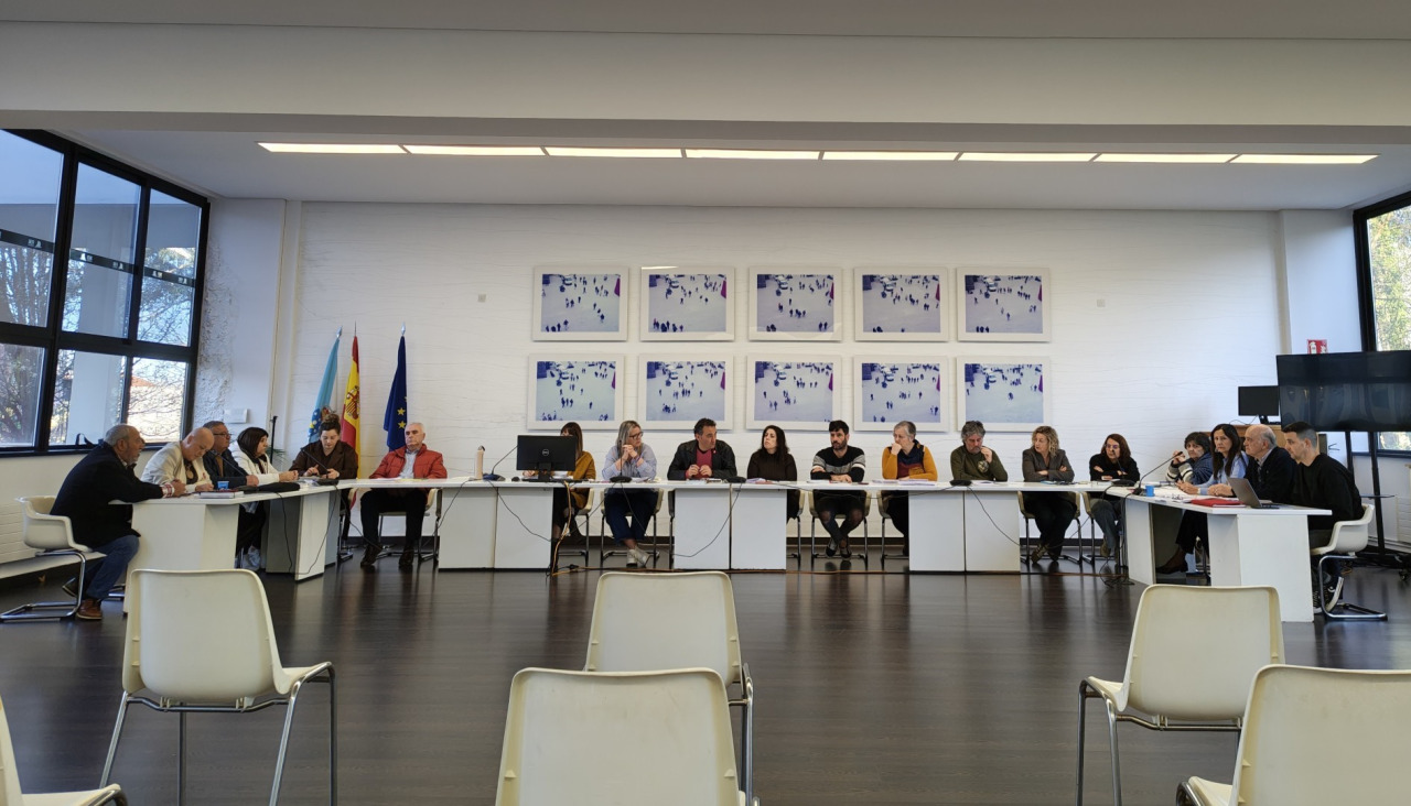 pleno fene