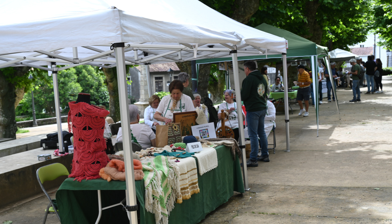 Alameda de Raxoi Feira de Entidades de Comarca