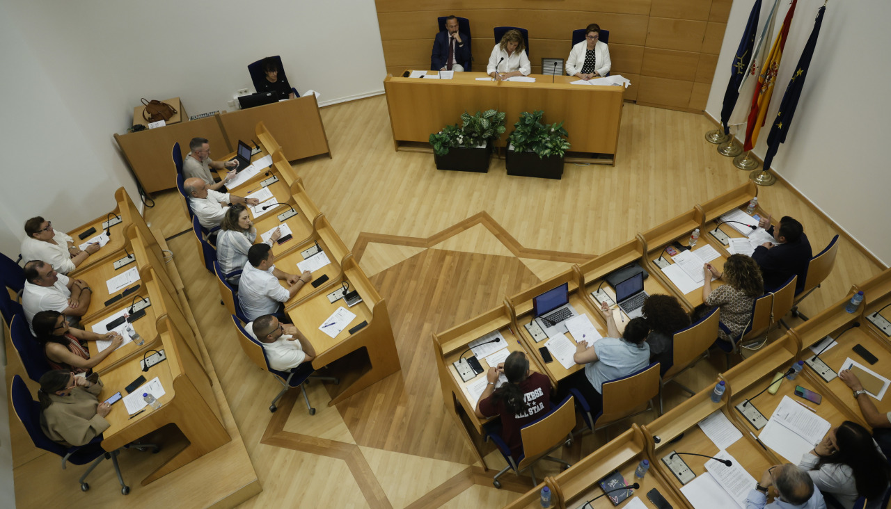 Pleno Narón