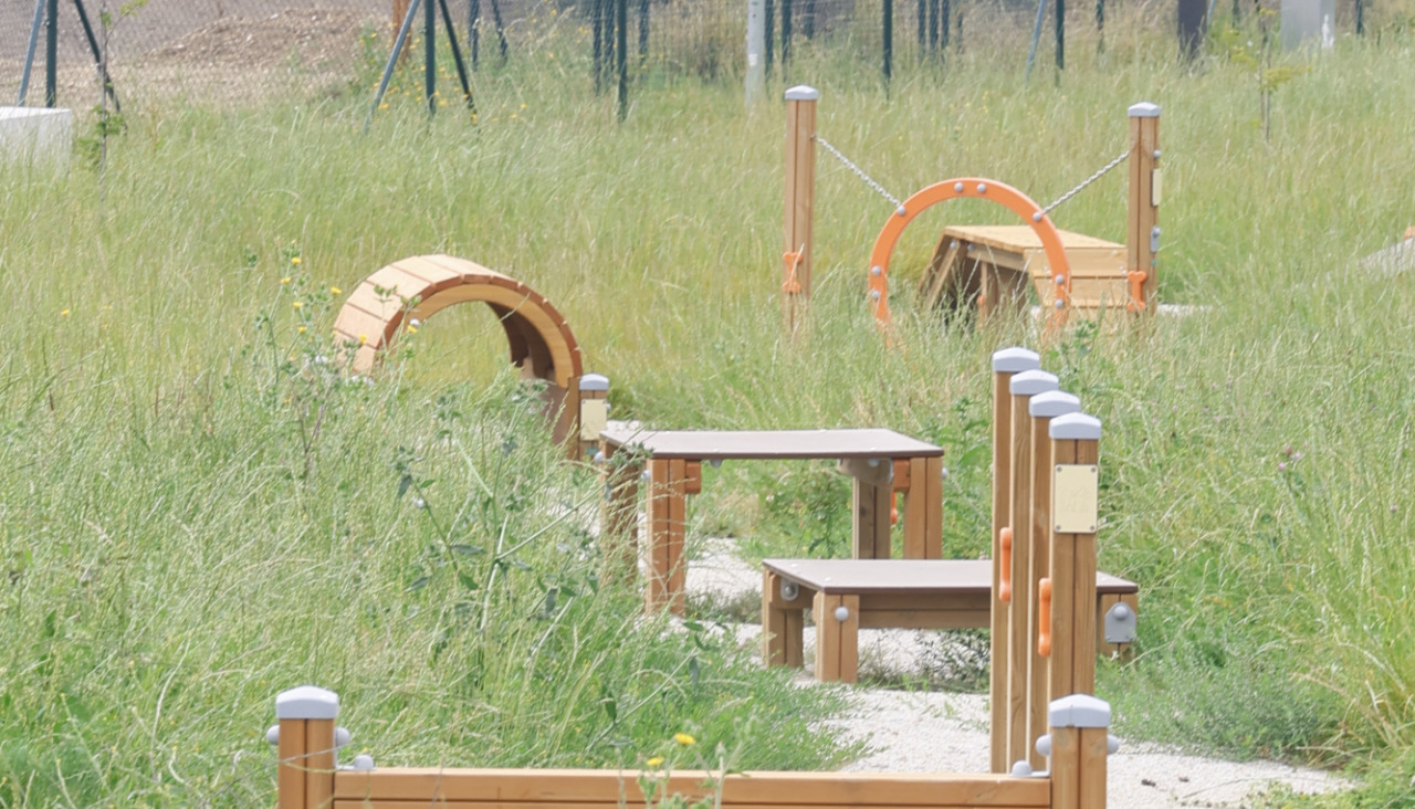 Parque Canino de Catabois