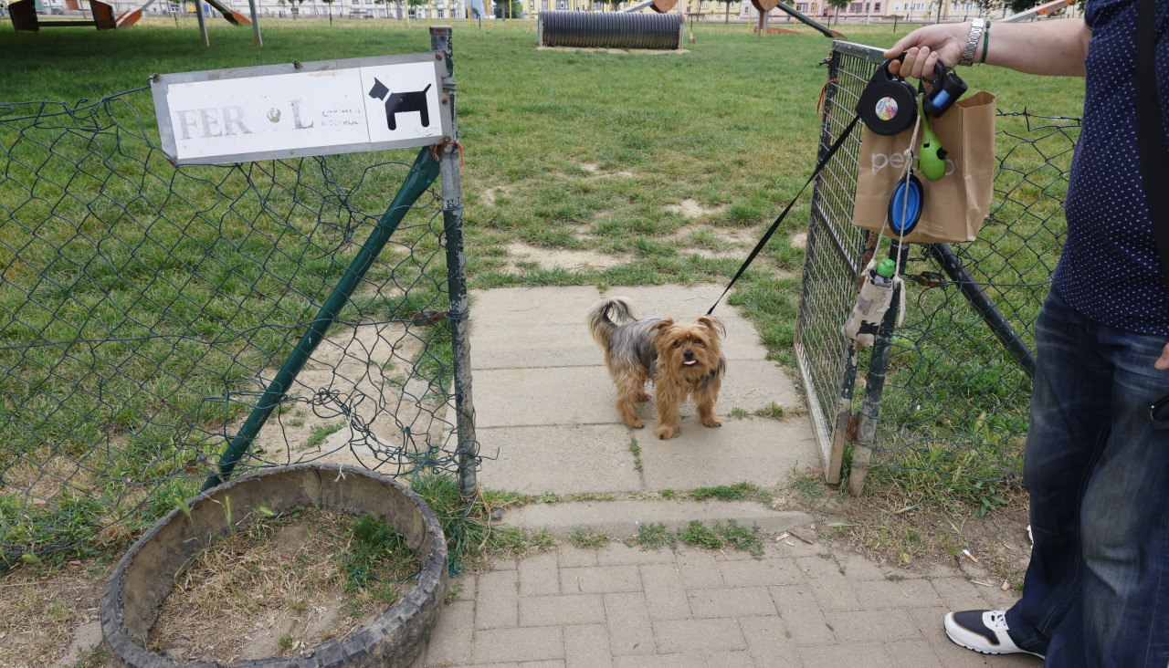 Parque Canino del Bertón