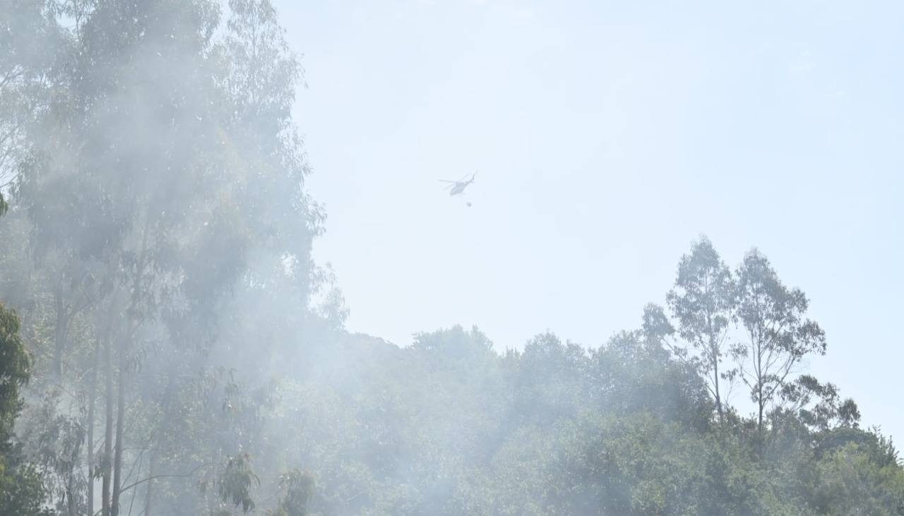 Incendio forestal en A Capela