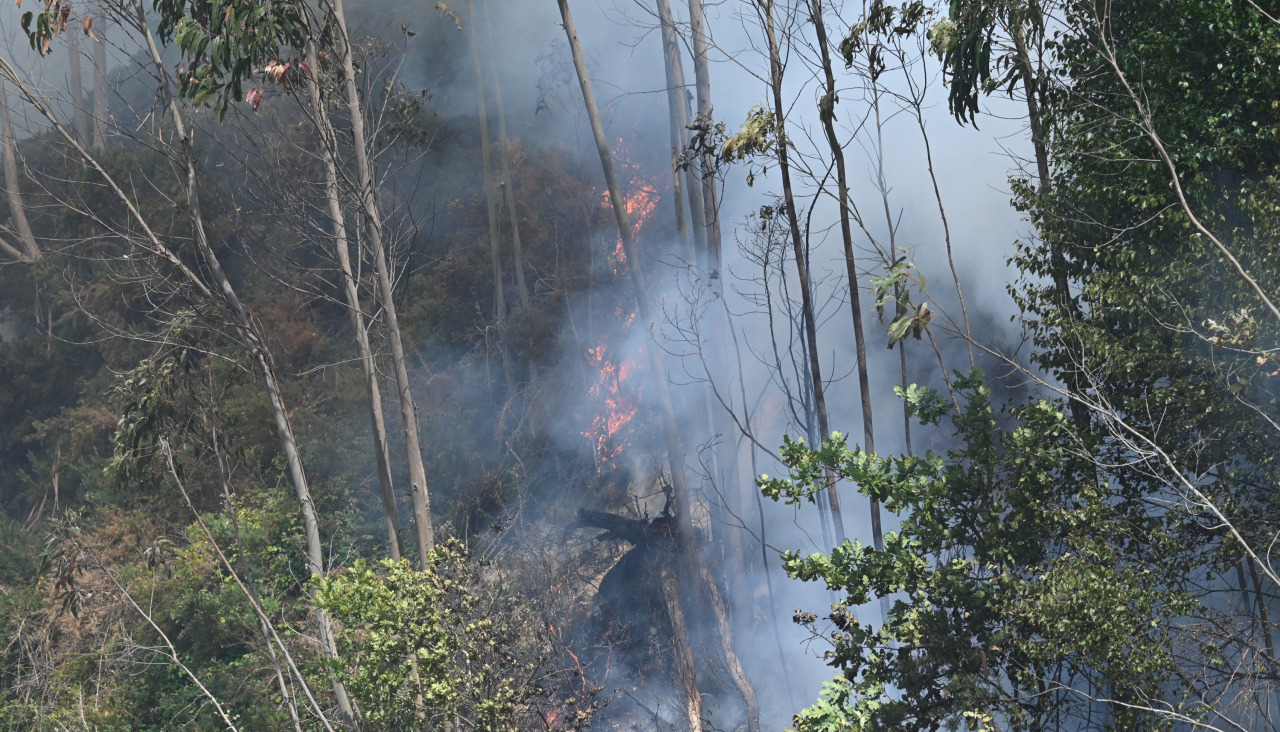Incendio en A Capela