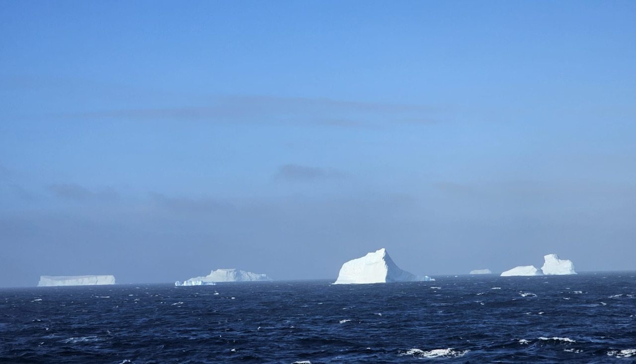 Icebergs en el Atlántico Sur