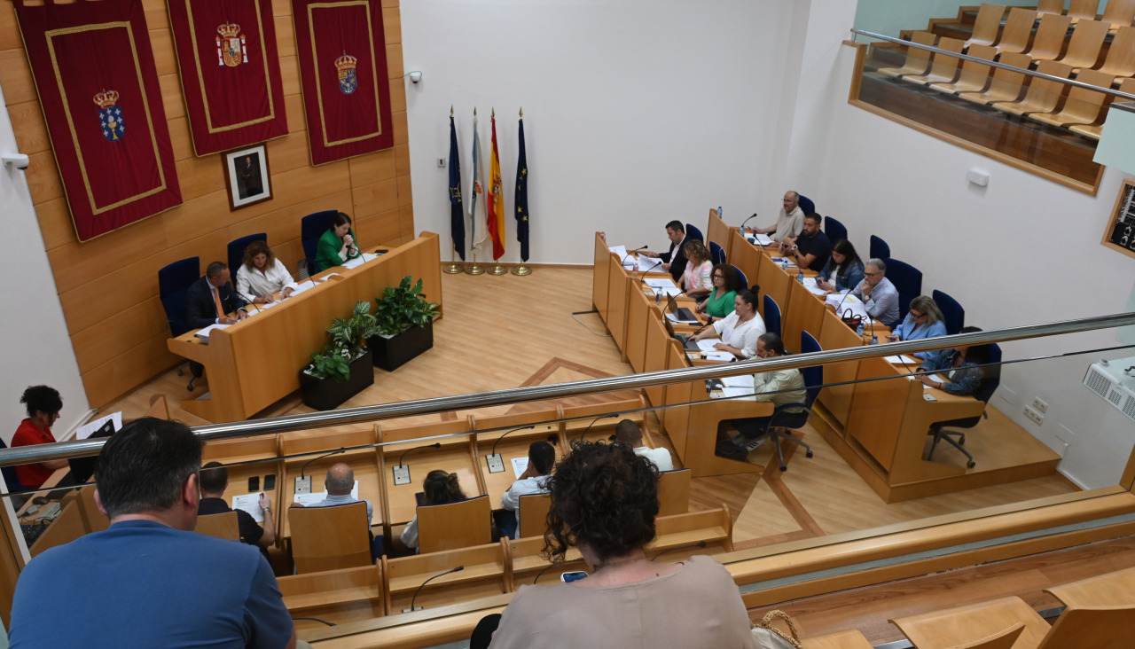 Pleno concello de Narón