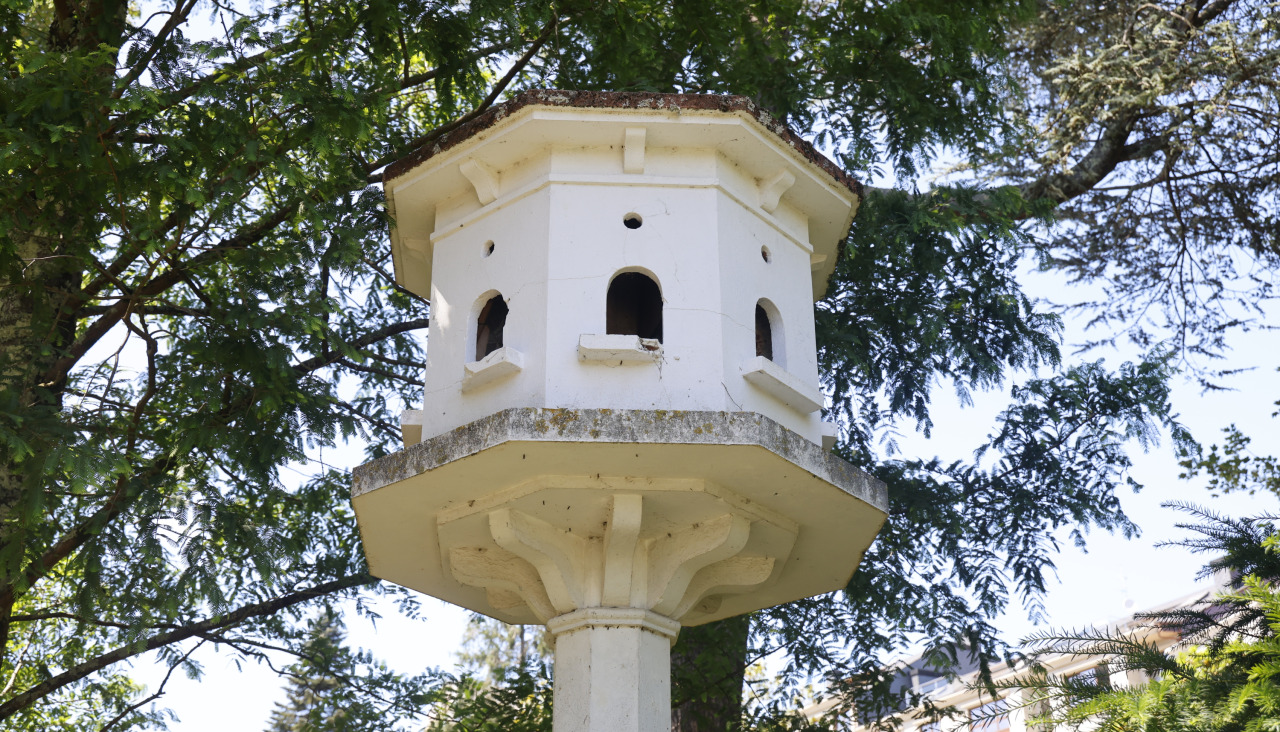 Reina Sofía palomar