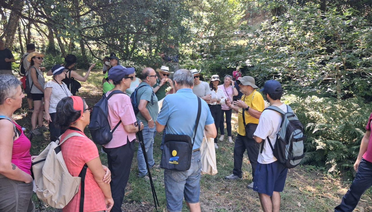 Participantes en el recorrido guiado de este sábado