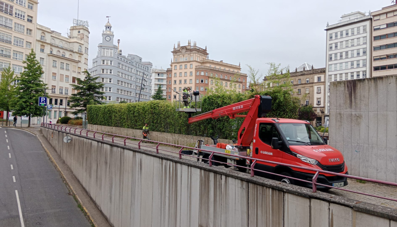 Operarios del servicio municipal realizando labores de poda