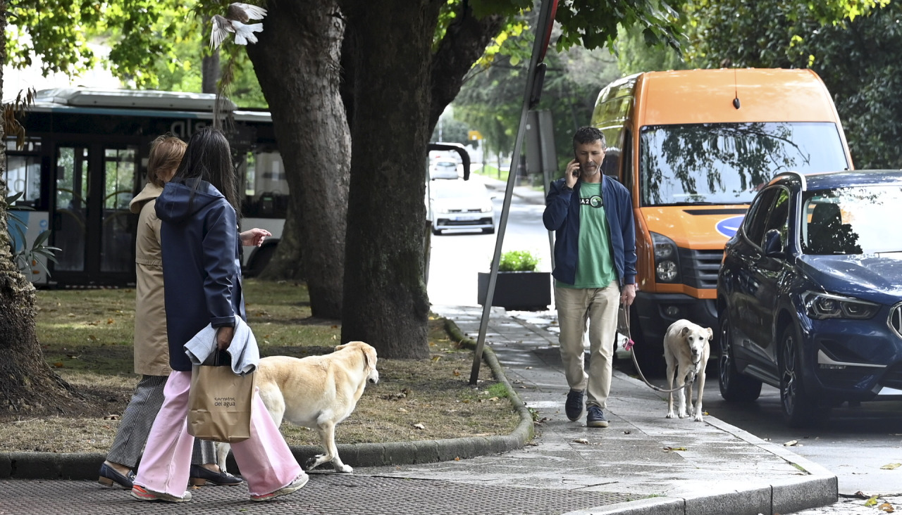 Gente paseando perros
